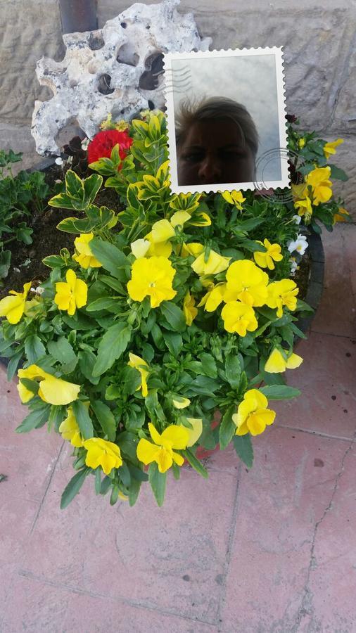 El Cuartelillo Viejo Guest House Polientes Luaran gambar