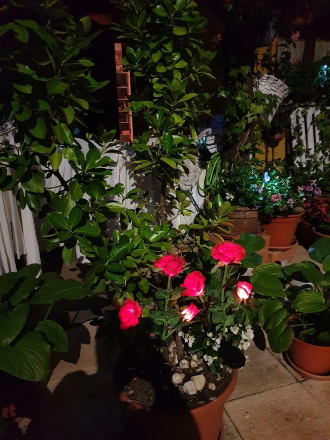 El Cuartelillo Viejo Guest House Polientes Luaran gambar